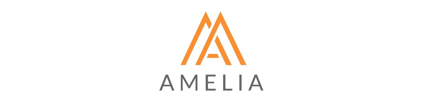 Amelia Risk Insurance Brokers LLC Image