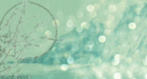 marin living foods  Image