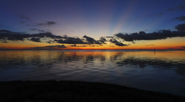 Whodunit Productions, Inc Image