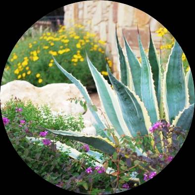 Yarrow Landscaping and Lawn Care Image