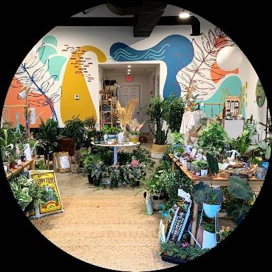 House Plant Collective Image