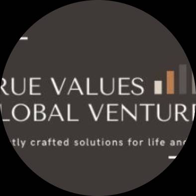 True Values Global Ventures Image
