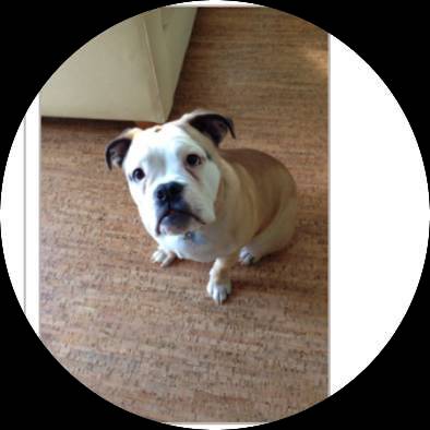 Eco-Friendly Flooring Inc Image