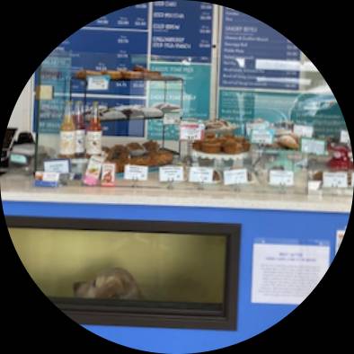 Carina's Bakery Image