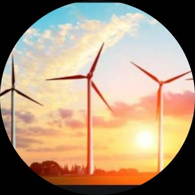 Phyllis Chestang aka Second Wind 501c3 Image