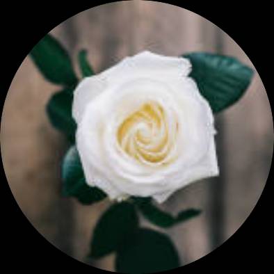 Rhonda  Watson Photo