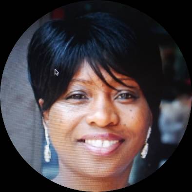 Professional Public Health Advisor, LLC Image