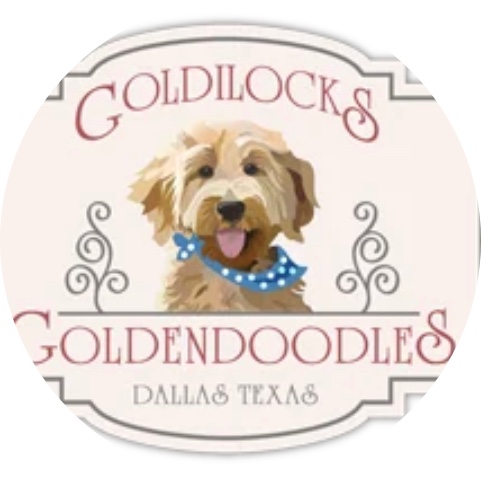 Goldilocks Goldendoodles Image