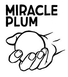 Miracle Plum Image