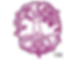 Awaken The Power Therapy, LLC Image