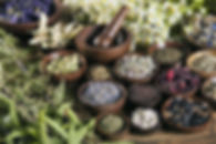 Neesta's Holistic Alternatives Image