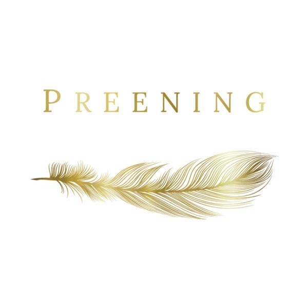 Preening Image