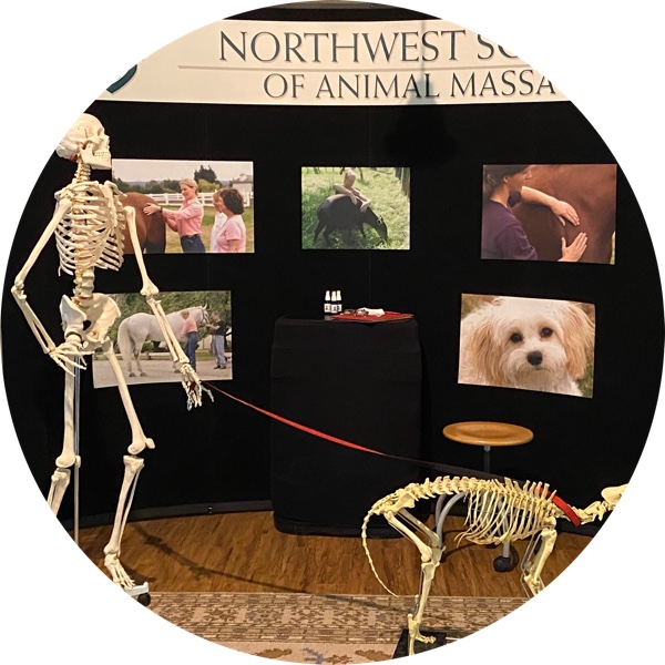 Northwest School of Animal Massage Image