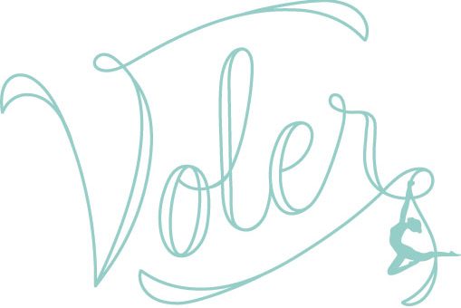 Voler: Thieves Of Flight Image